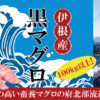 伊根町観光協会 | 海の京都・舟屋の里 伊根町の良いとこをお届け